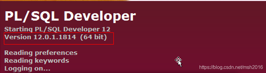 PL/SQL Developer